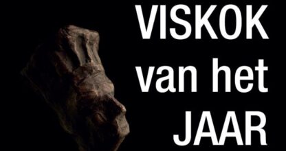 viskok van het jaar